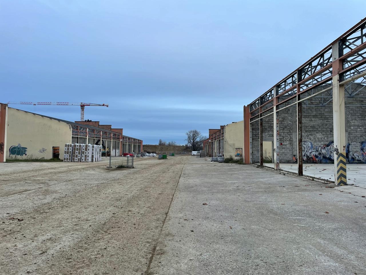 Location local d'activité Rillieux-la-Pape Rhône OLACT2424745 11