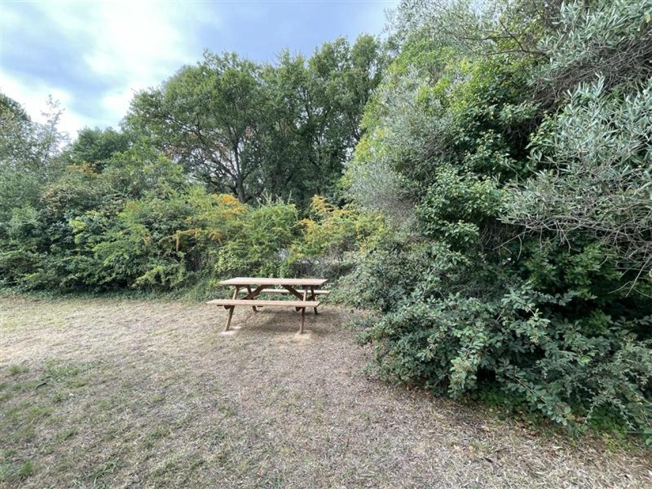 Vente bureau Baillargues Hérault OVBUR2532628 4