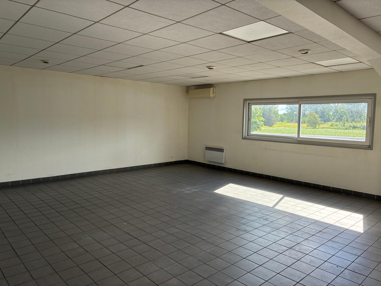 Location local d'activité Wantzenau Bas-Rhin OLACT2638988 12