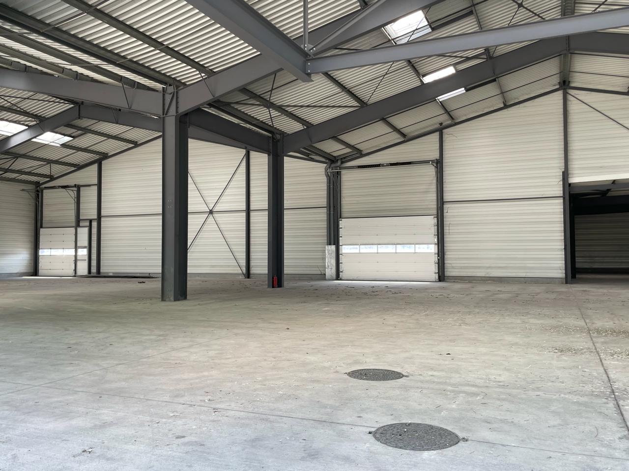 Location local d'activité Cormeilles-en-Parisis Val-d'Oise OLACT2424489 6