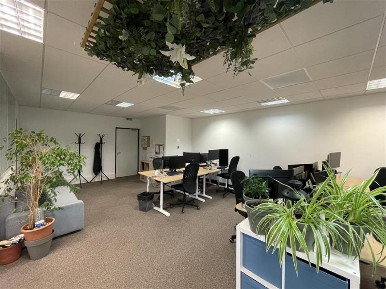 Location bureau Montpellier Hérault OLBUR2422065 5