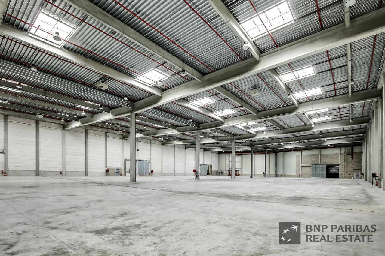 Location local d'activité Combs-la-Ville Seine-et-Marne OLACT2425674 6