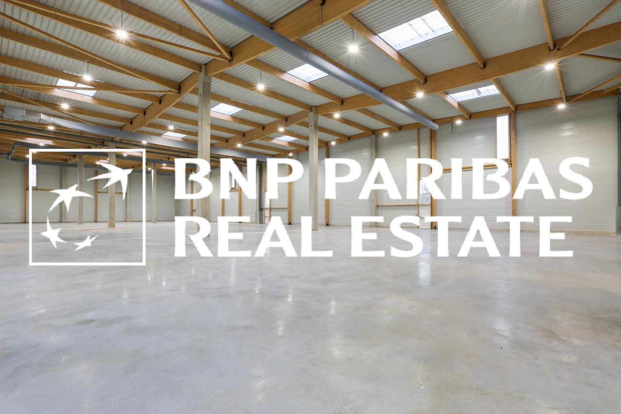 Location local d'activité Moissy-Cramayel Seine-et-Marne OLACT2201099 5