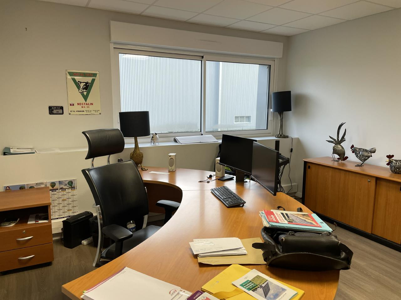 Vente local d'activité Maen Roch Ille-et-Vilaine OVACT2317865 6