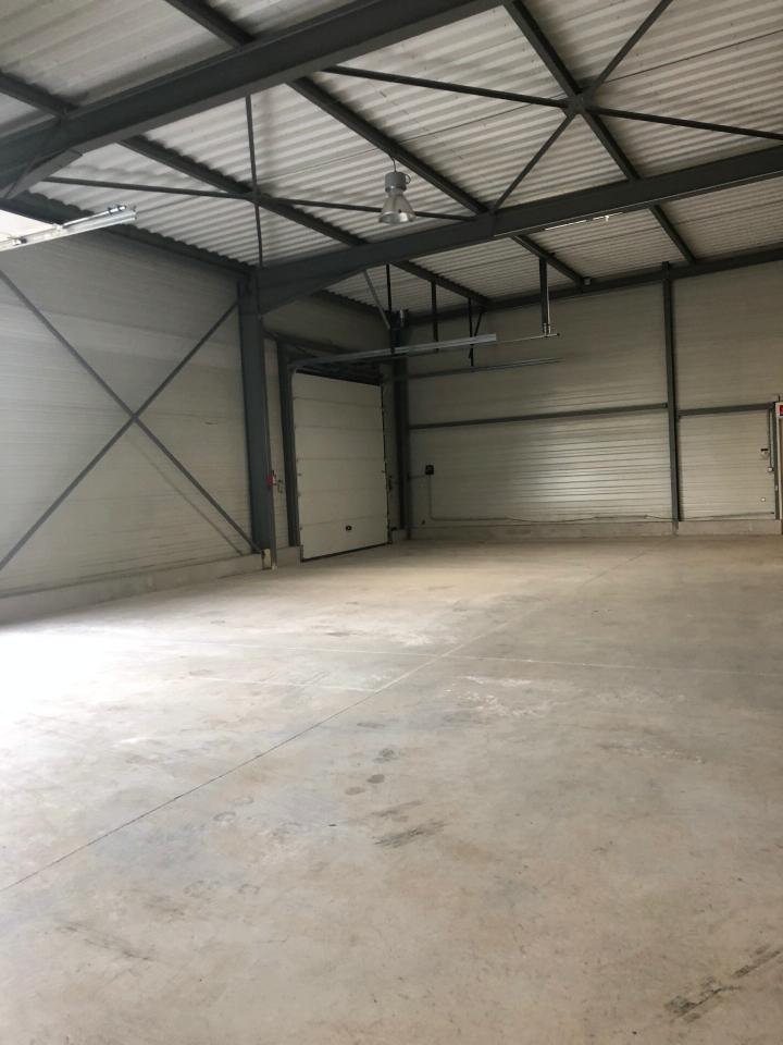 Location local d'activité Gallargues-le-Montueux Gard OLACT2428578 7