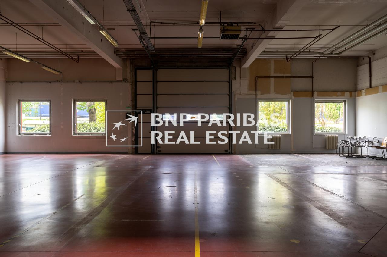 Location local d'activité Antony Hauts-de-Seine OLACT2309797 7