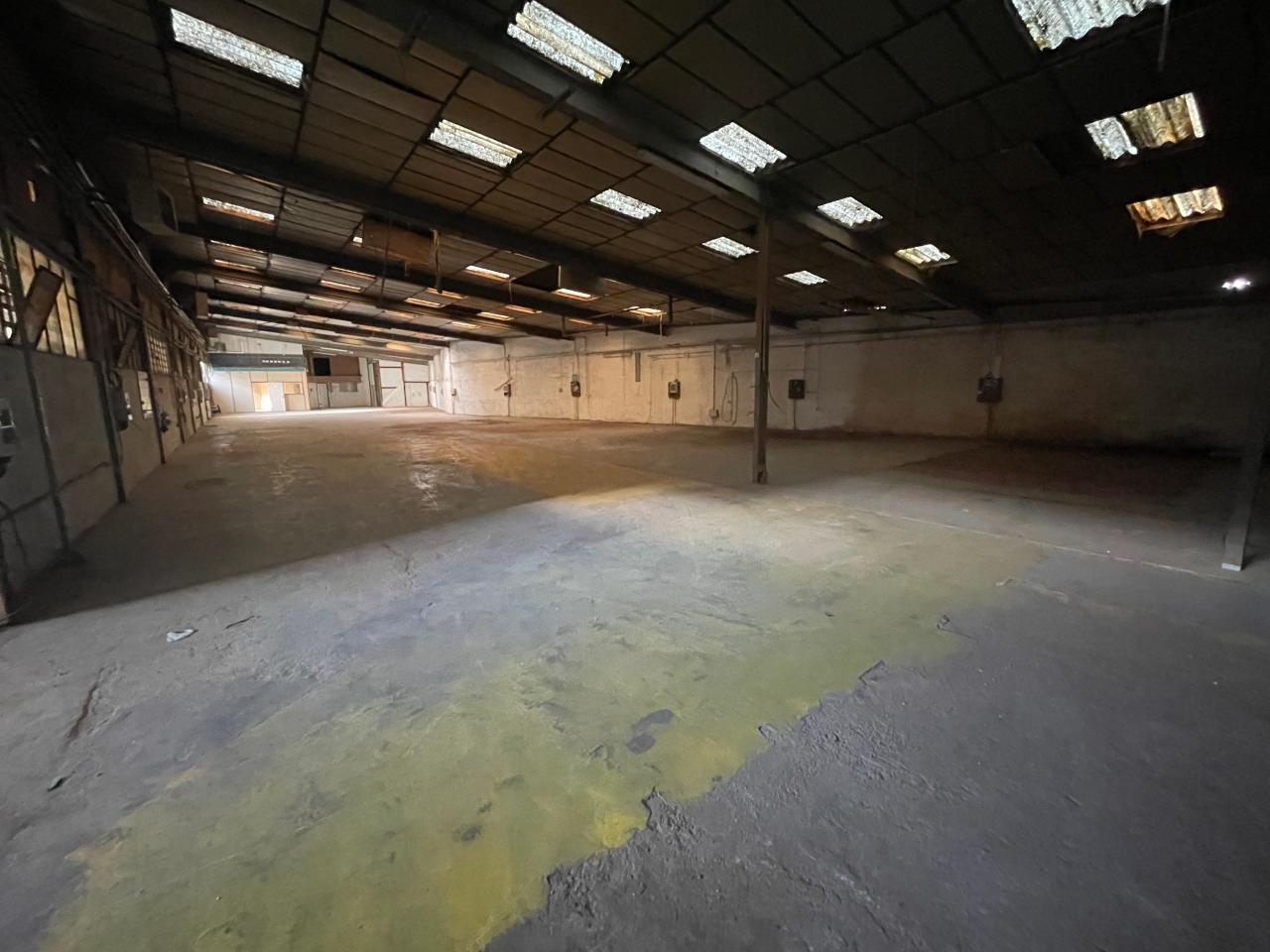 Location local d'activité La Trinité Alpes-Maritimes OLACT2533858 19