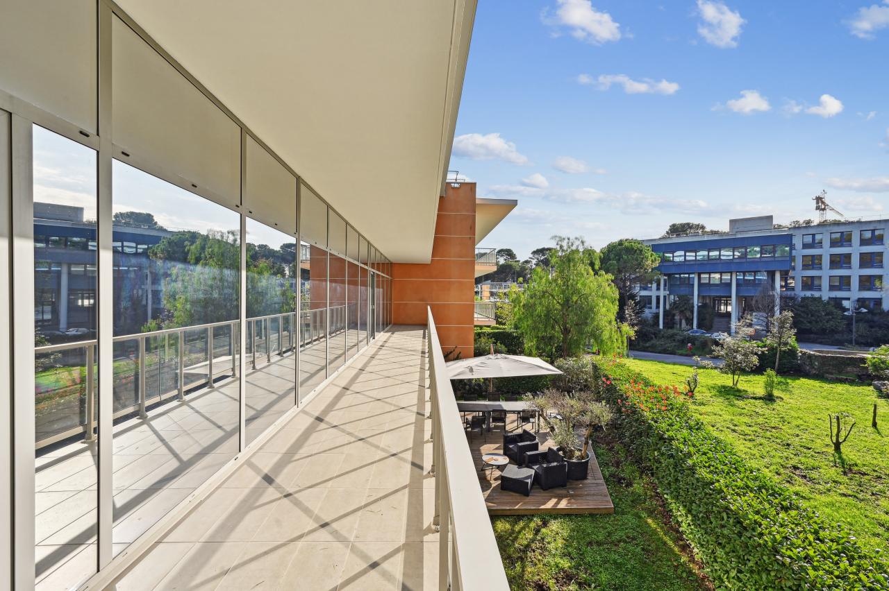 Location bureau Sophia Antipolis Alpes-Maritimes OLBUR2308125 11