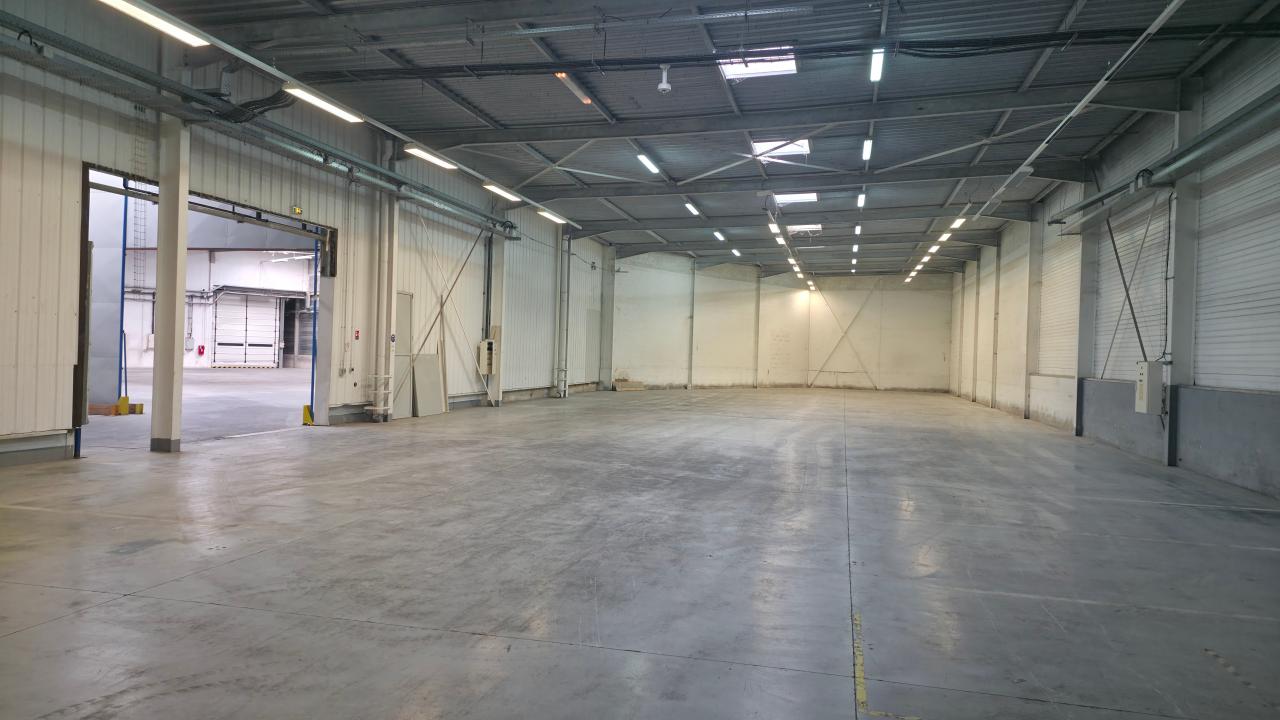 Location local d'activité Collégien Seine-et-Marne OLACT2537563 5