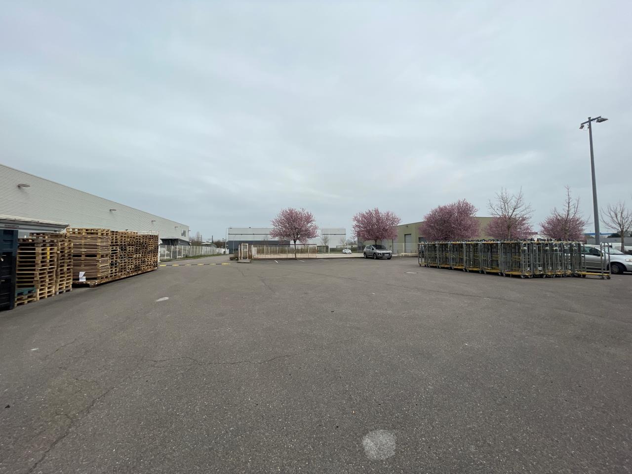 Vente local d'activité Longvic Côte-d'Or OVACT2531310 23