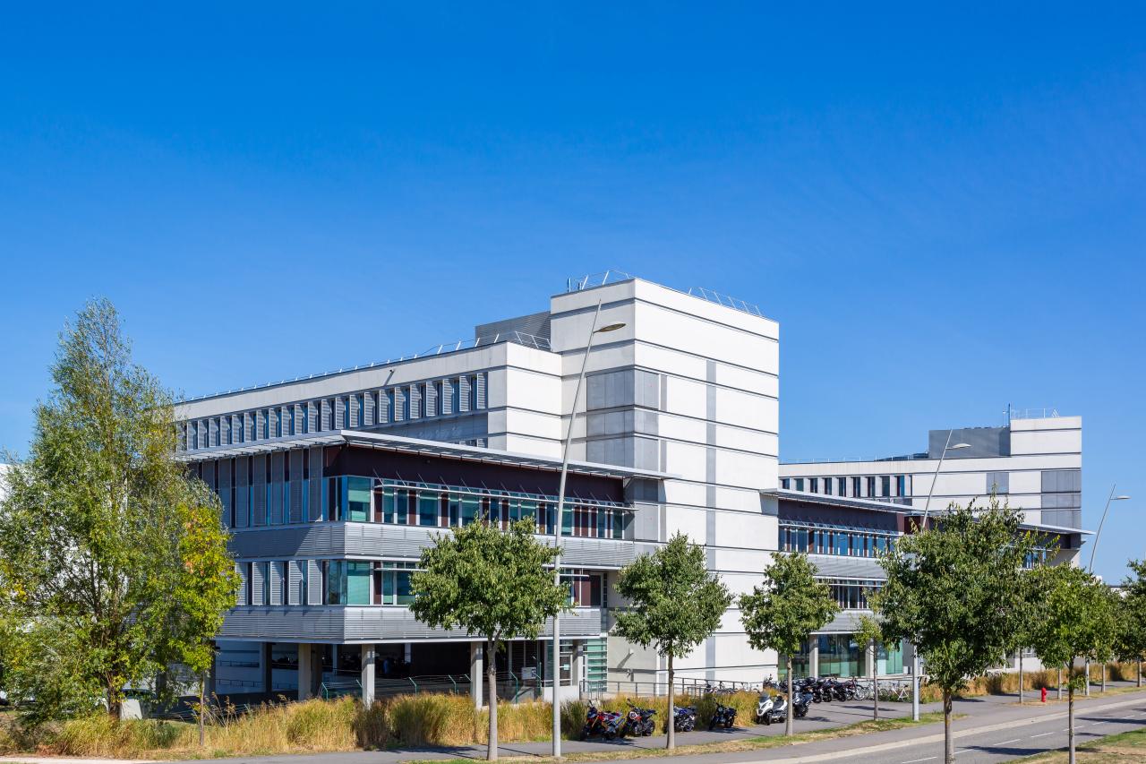 Location bureau Blagnac Haute-Garonne OLBUR2108389 8