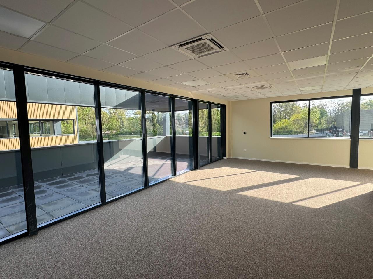 Location local d'activité Geispolsheim Bas-Rhin OLACT2420594 12