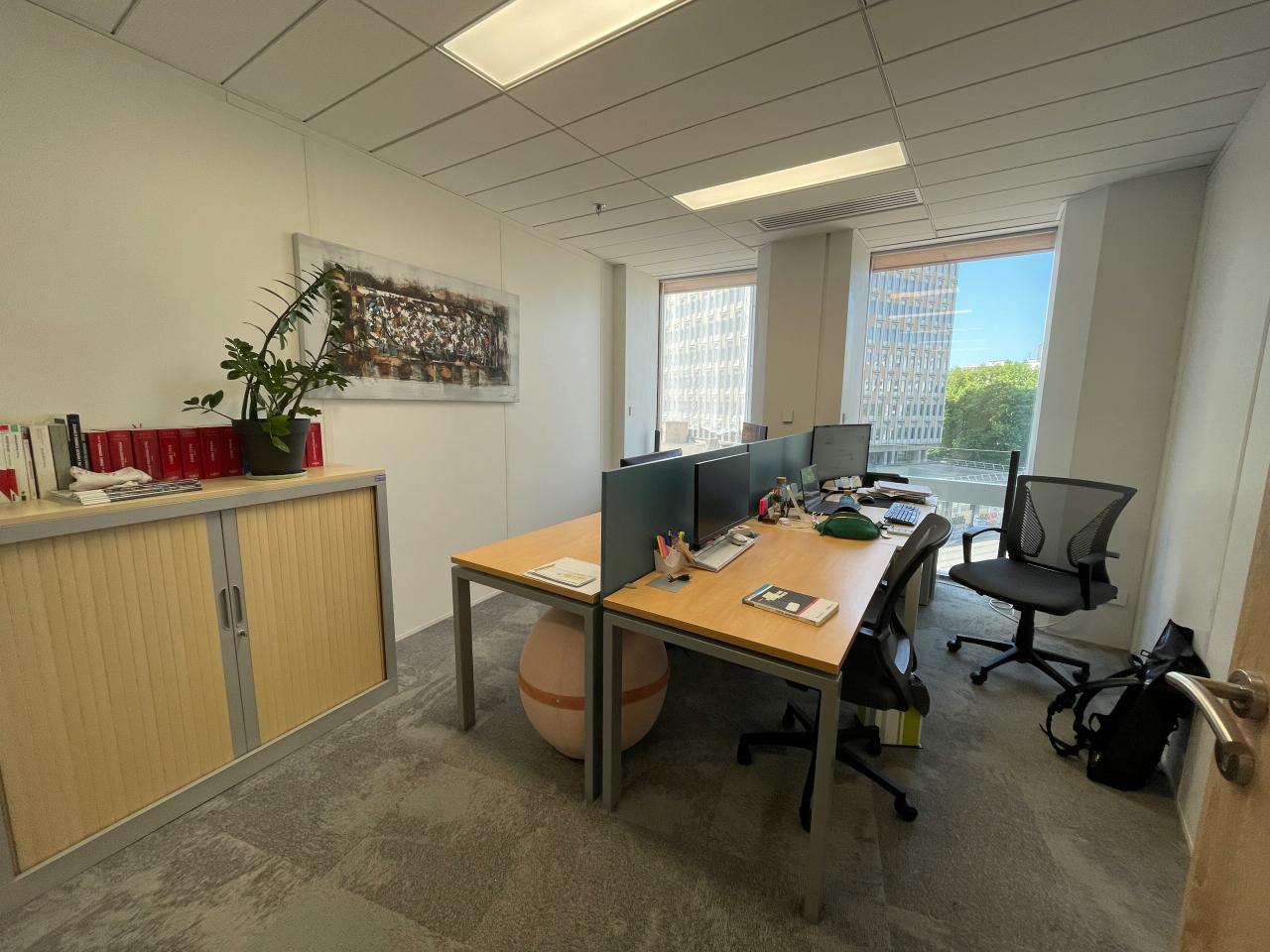 Location bureau Lyon Rhône OLBUR2109279 12