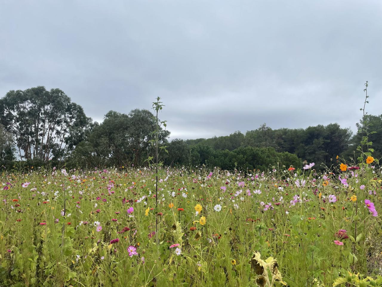 Location bureau Sophia Antipolis Alpes-Maritimes OLBUR2424882 15