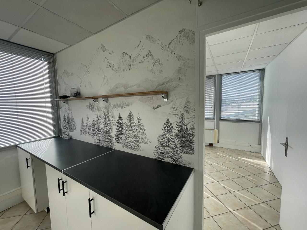 Location local d'activité Meythet Haute-Savoie OLACT2426804 12