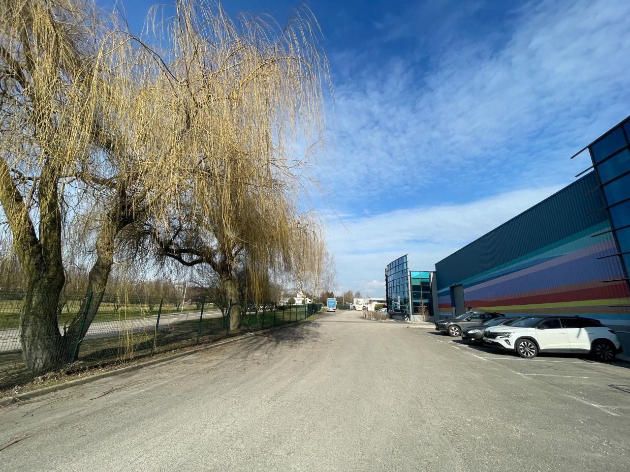 Location local d'activité Chevigny-Saint-Sauveur Côte-d'Or OLACT2530855 5