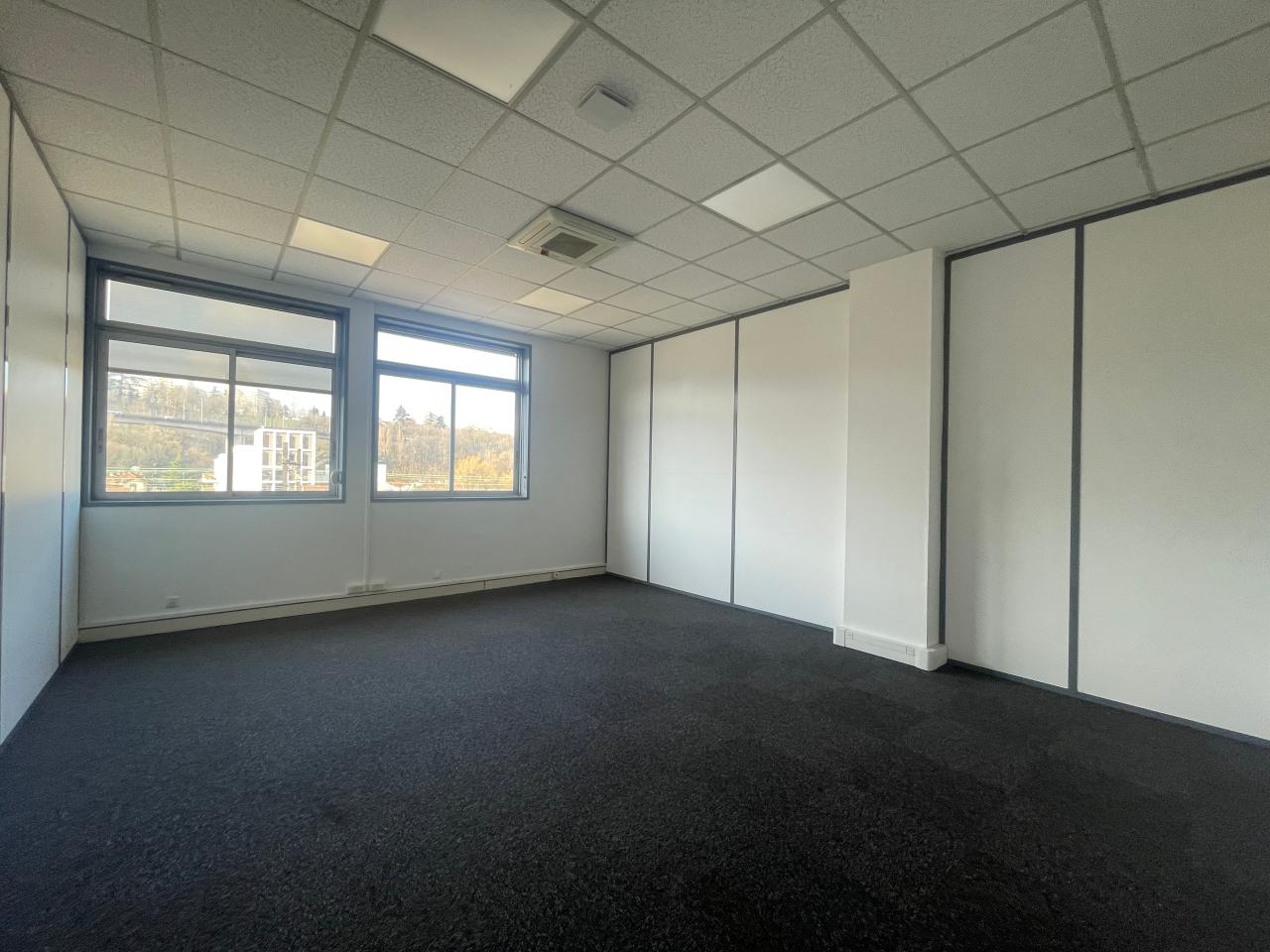 Vente bureau Lyon Rhône OVBUR2530030 7