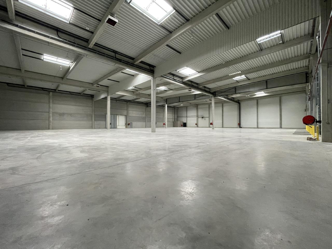 Location entrepôt classe b Monswiller Bas-Rhin OLLOG2422157 9