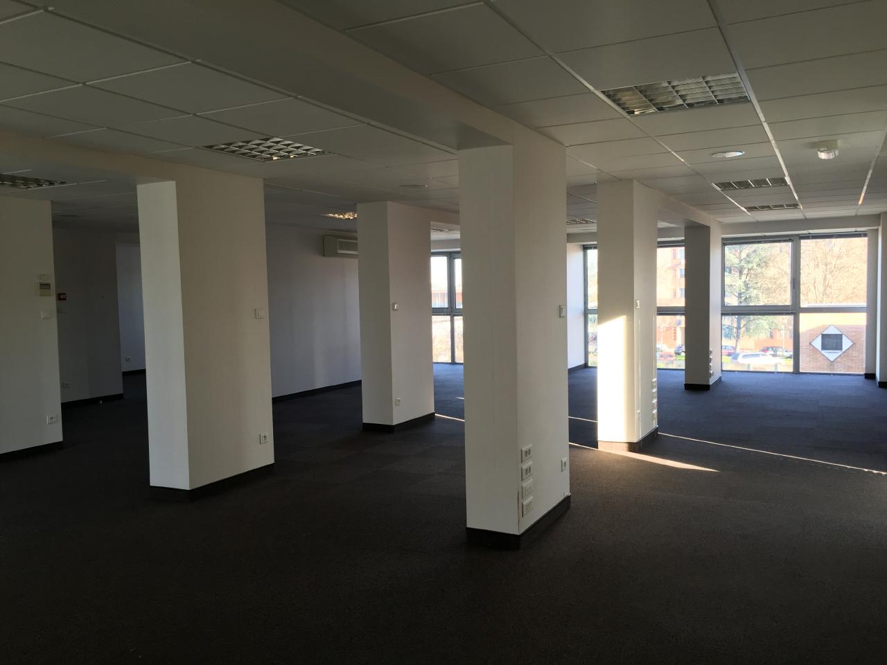 Location bureau Colomiers Haute-Garonne OLBUR2108569 5