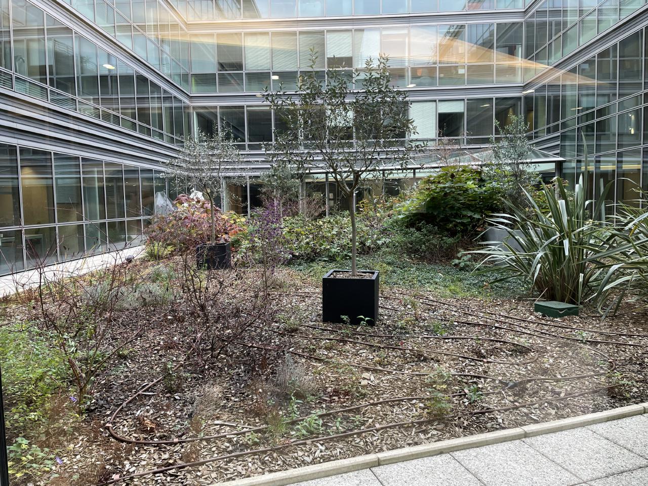 Location bureau Suresnes Hauts-de-Seine OLBUR2119850 7