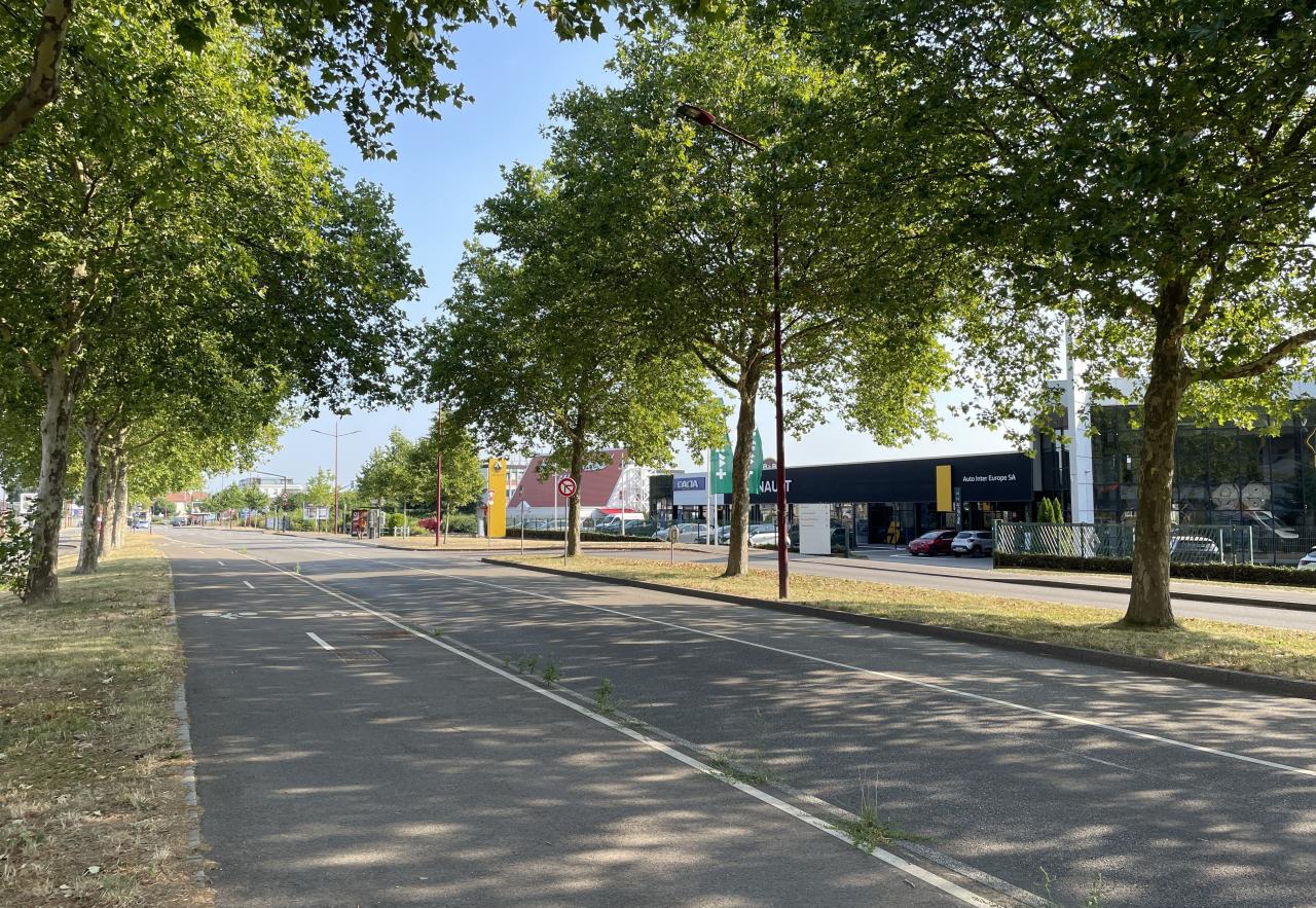 Location local d'activité Lampertheim Bas-Rhin OLACT2641048 6