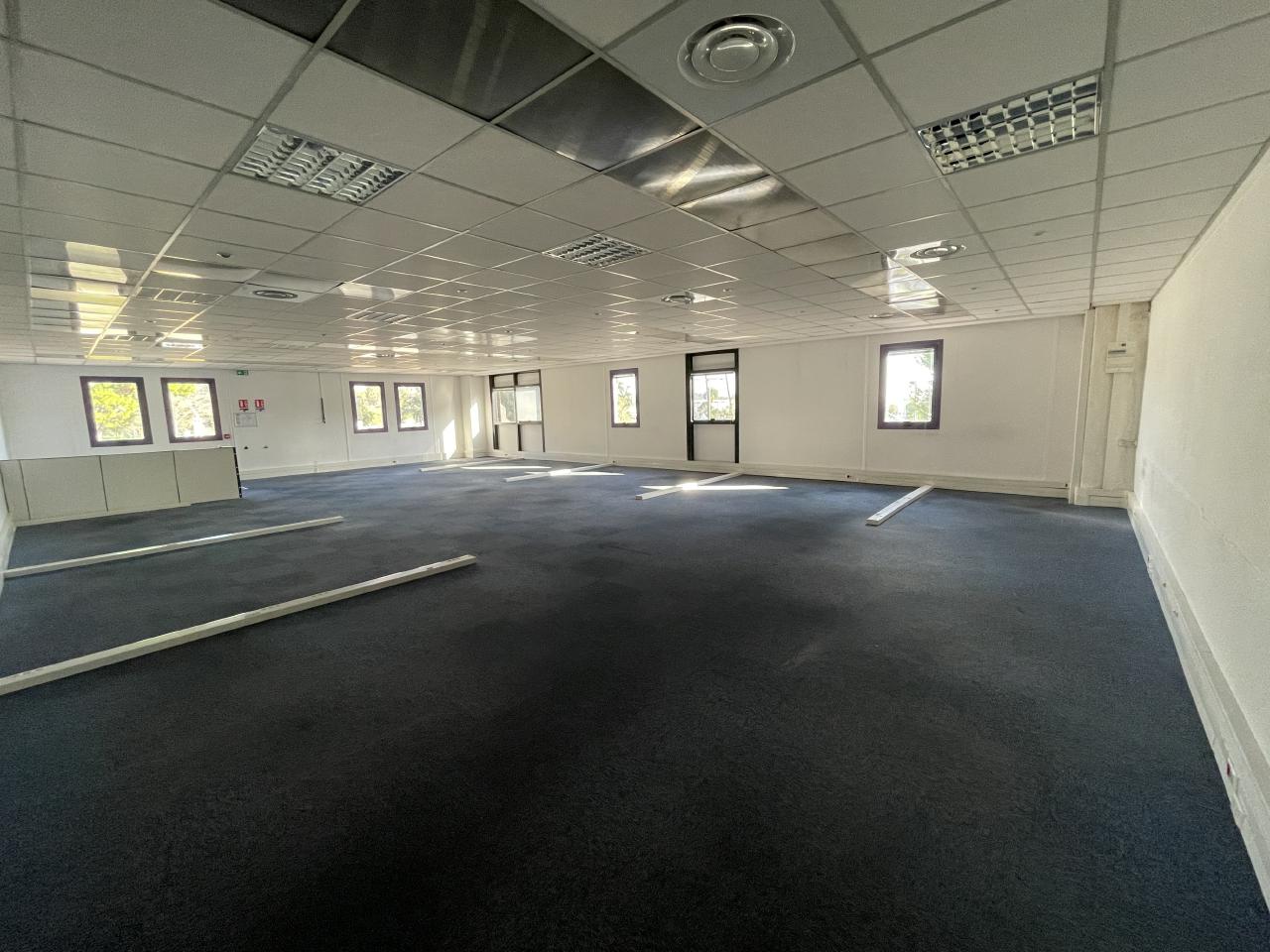 Location local d'activité Antibes Alpes-Maritimes OLACT2314472 11