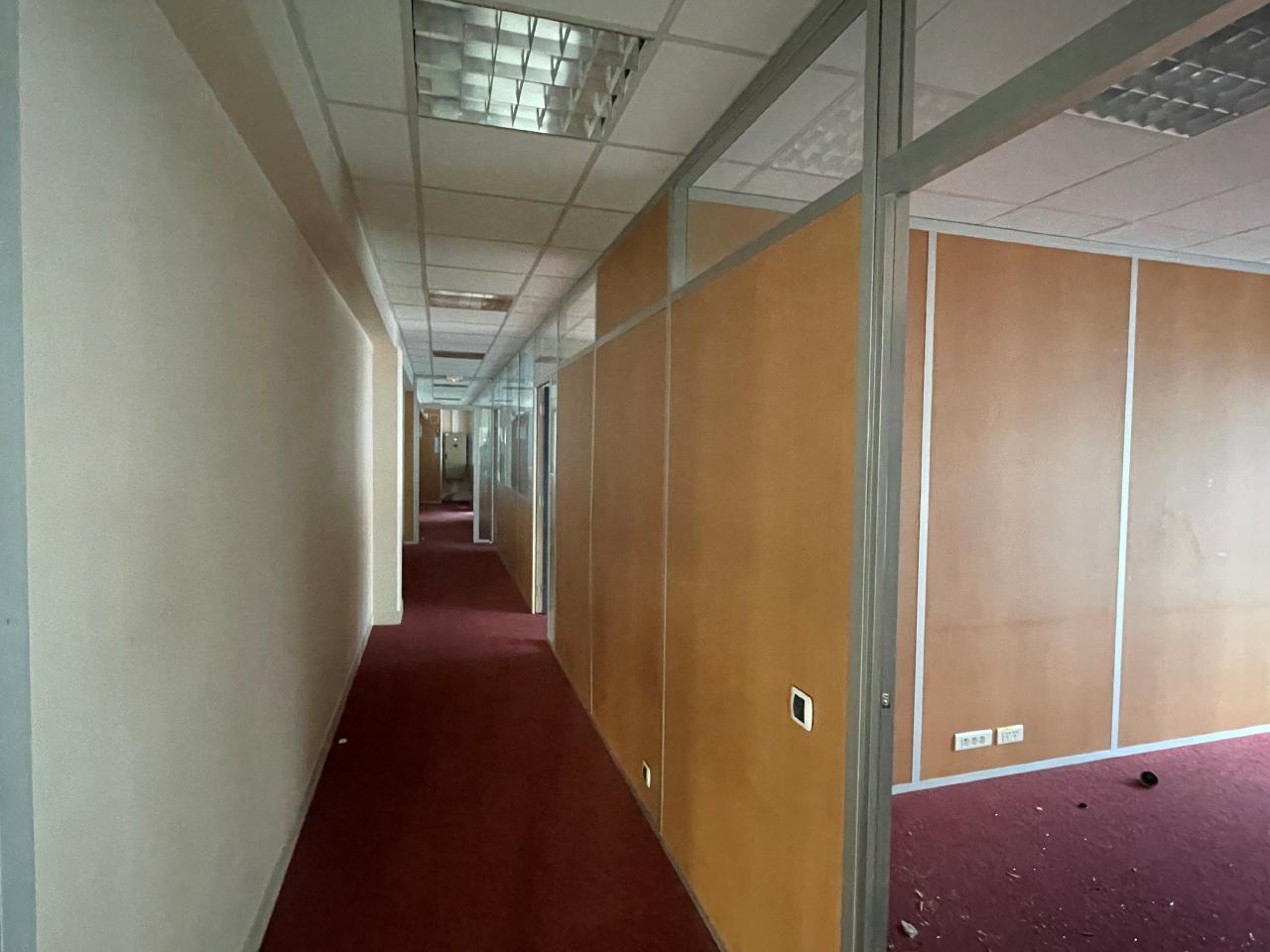 Location local d'activité Ivry-sur-Seine Val-de-Marne OLACT2206899 18