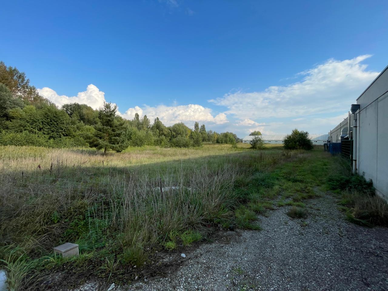 Location local d'activité Dettwiller Bas-Rhin OLACT2536553 25