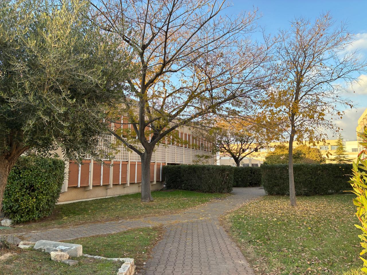 Location bureau Vitrolles Bouches-du-Rhône OLBUR2535368