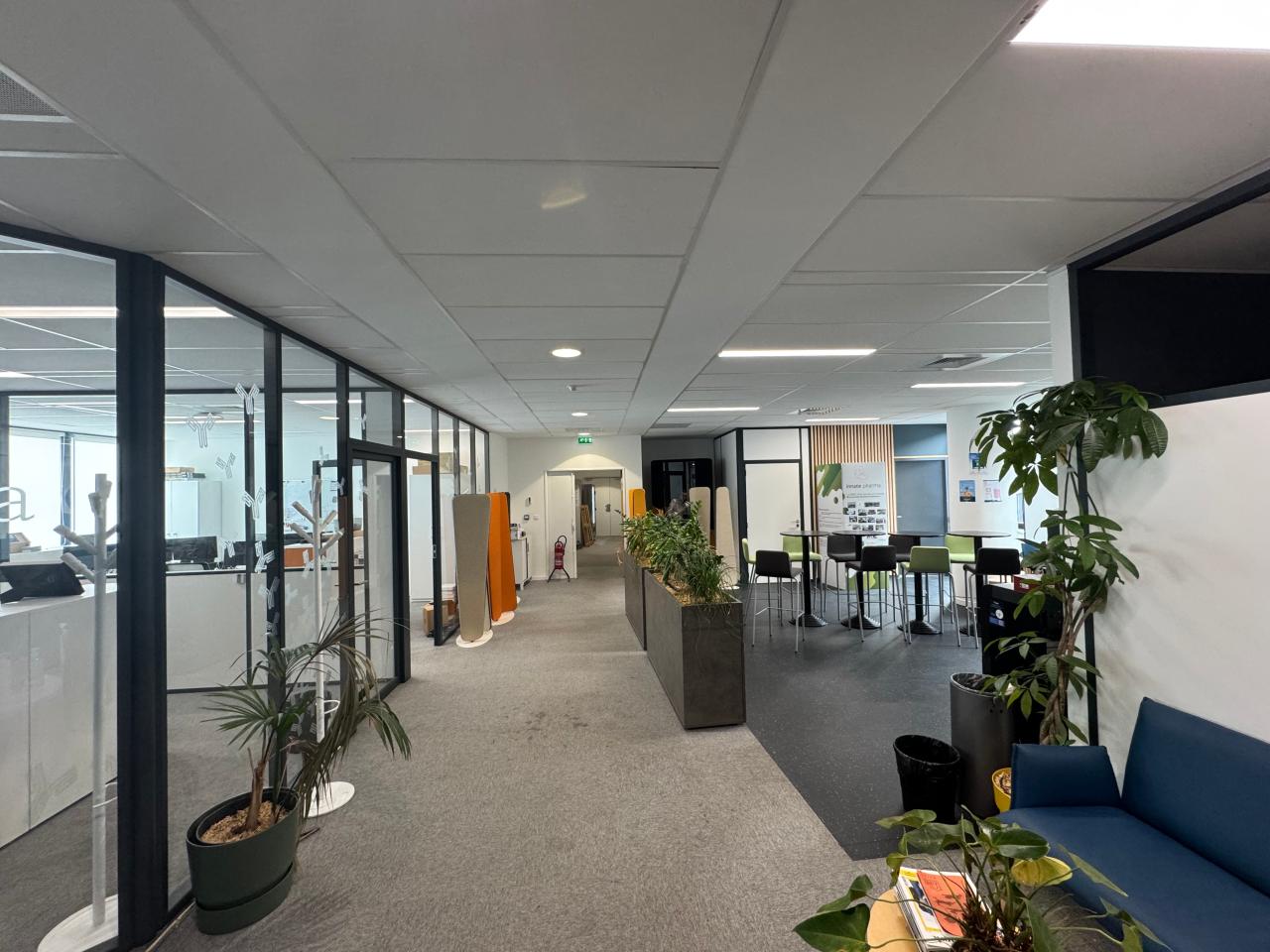 Location bureau Marseille Bouches-du-Rhône OLBUR2531123 1