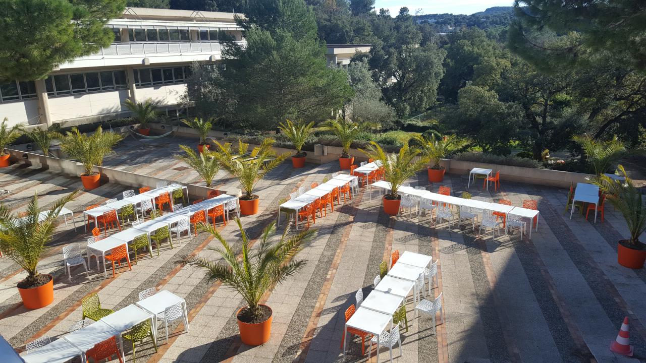 Location bureau Biot Alpes-Maritimes OLBUR2115386 24