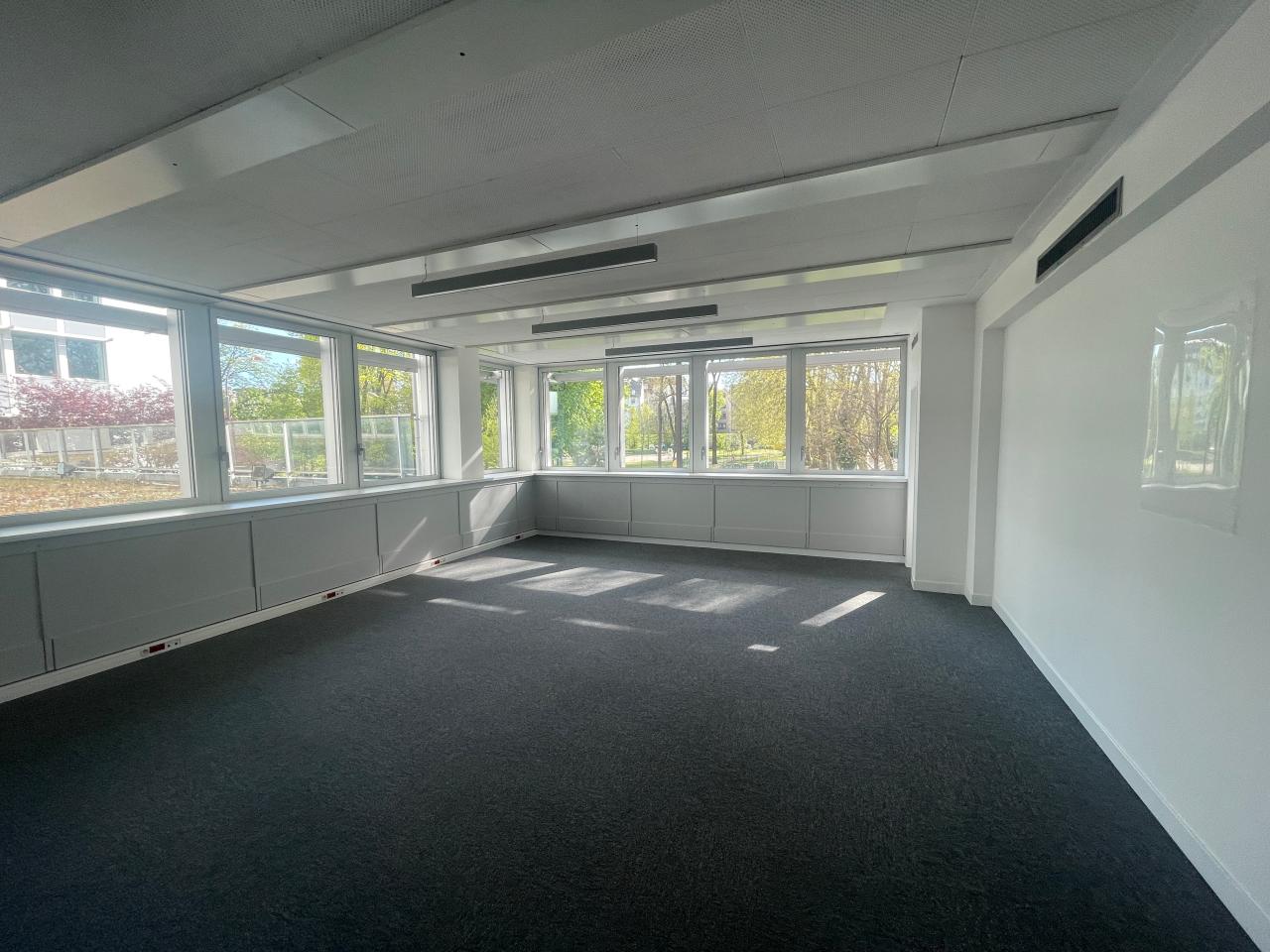 Location bureau Strasbourg Bas-Rhin OLBUR2310518 13