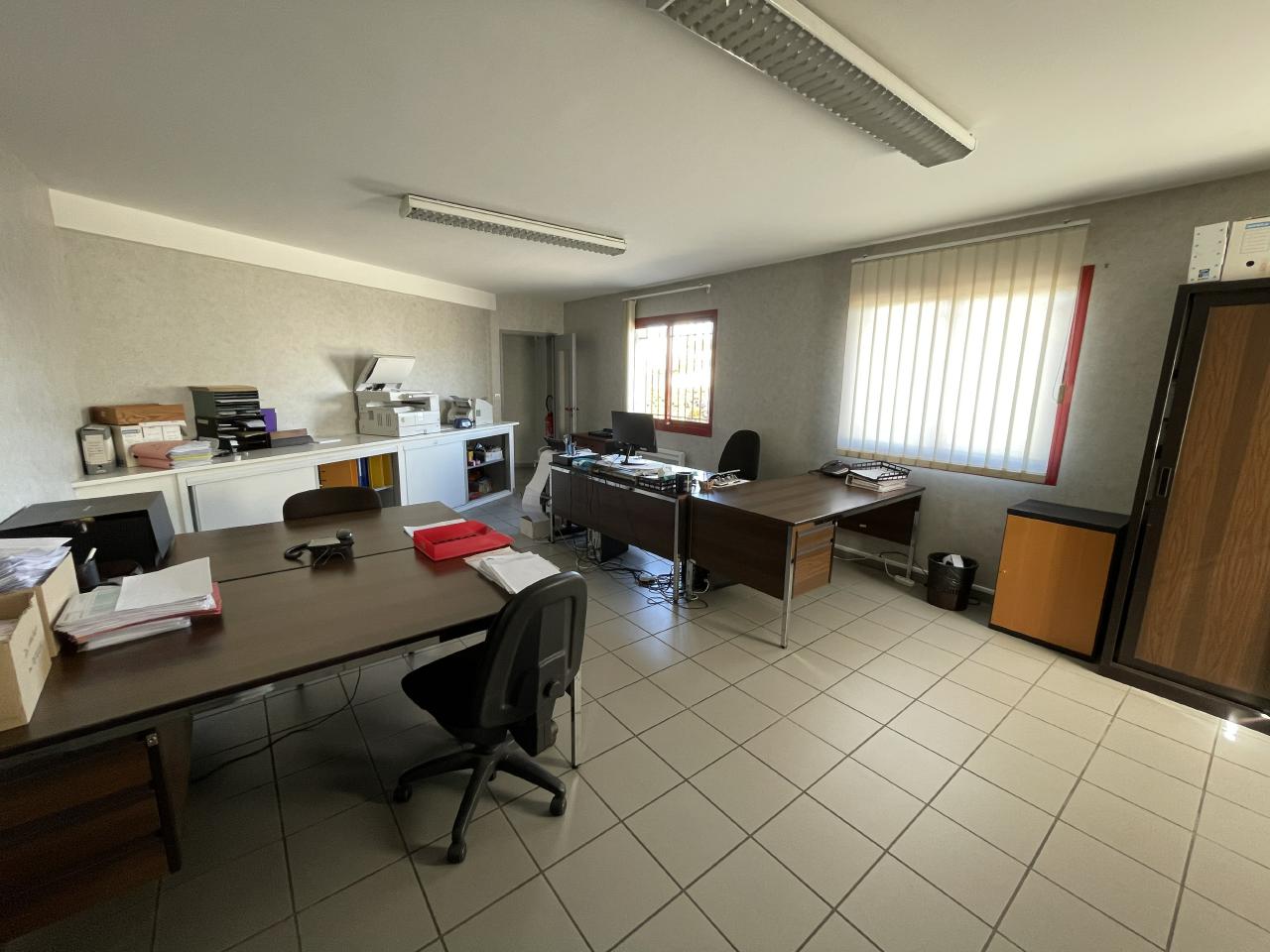 Location local d'activité Meyzieu Rhône OLACT2108902 9