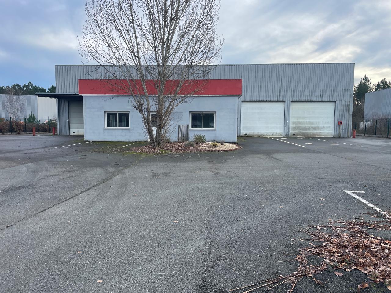 Location local d'activité Saucats Gironde OLACT2638343 11