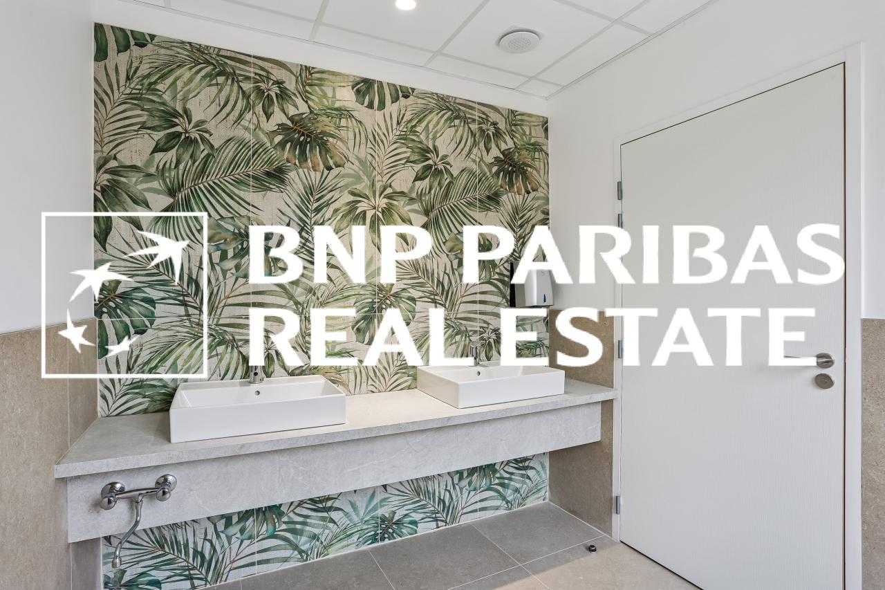 Location bureau OLBUR2313993 12