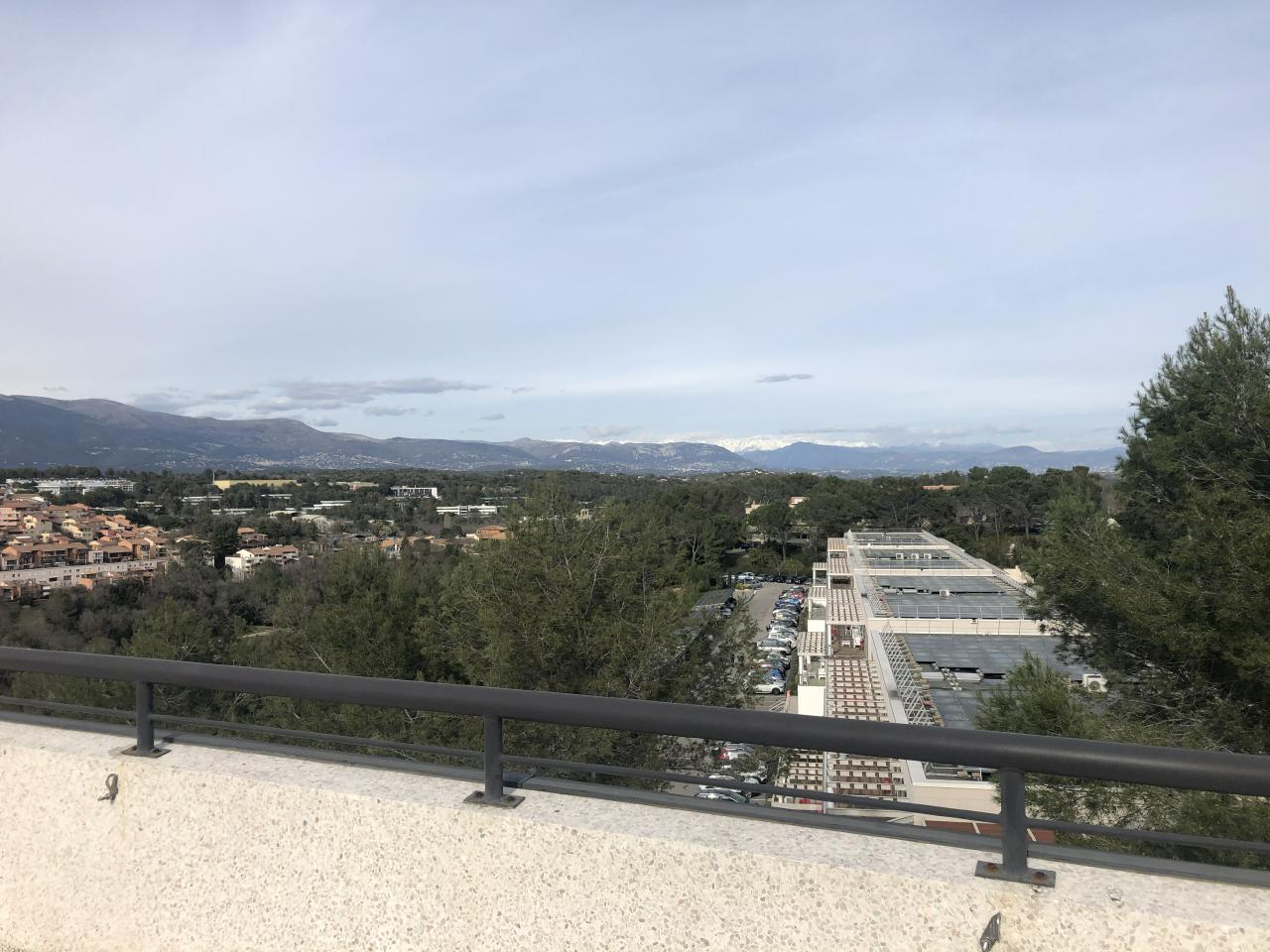 Vente bureau Sophia Antipolis Alpes-Maritimes OVBUR2532489 16