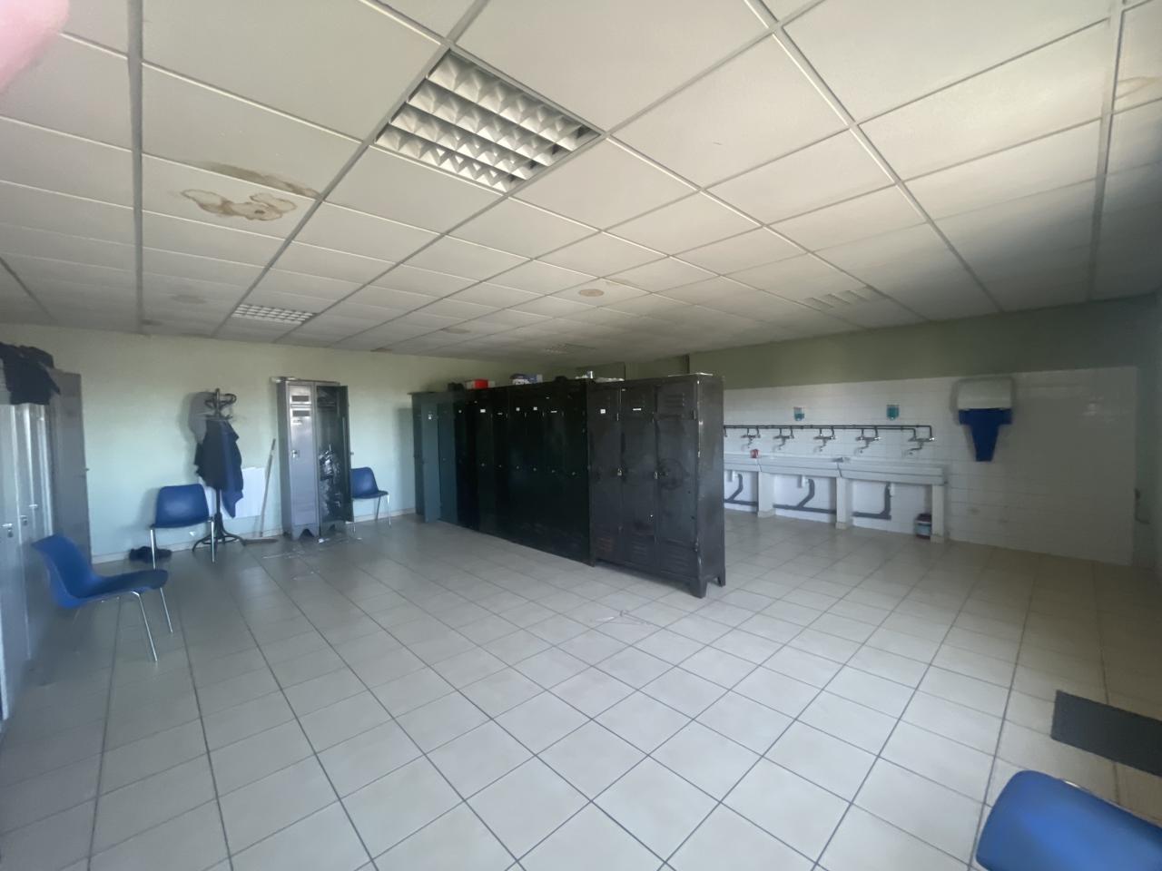 Vente local d'activité le Plessis-Pâté Essonne OVACT2642634 15