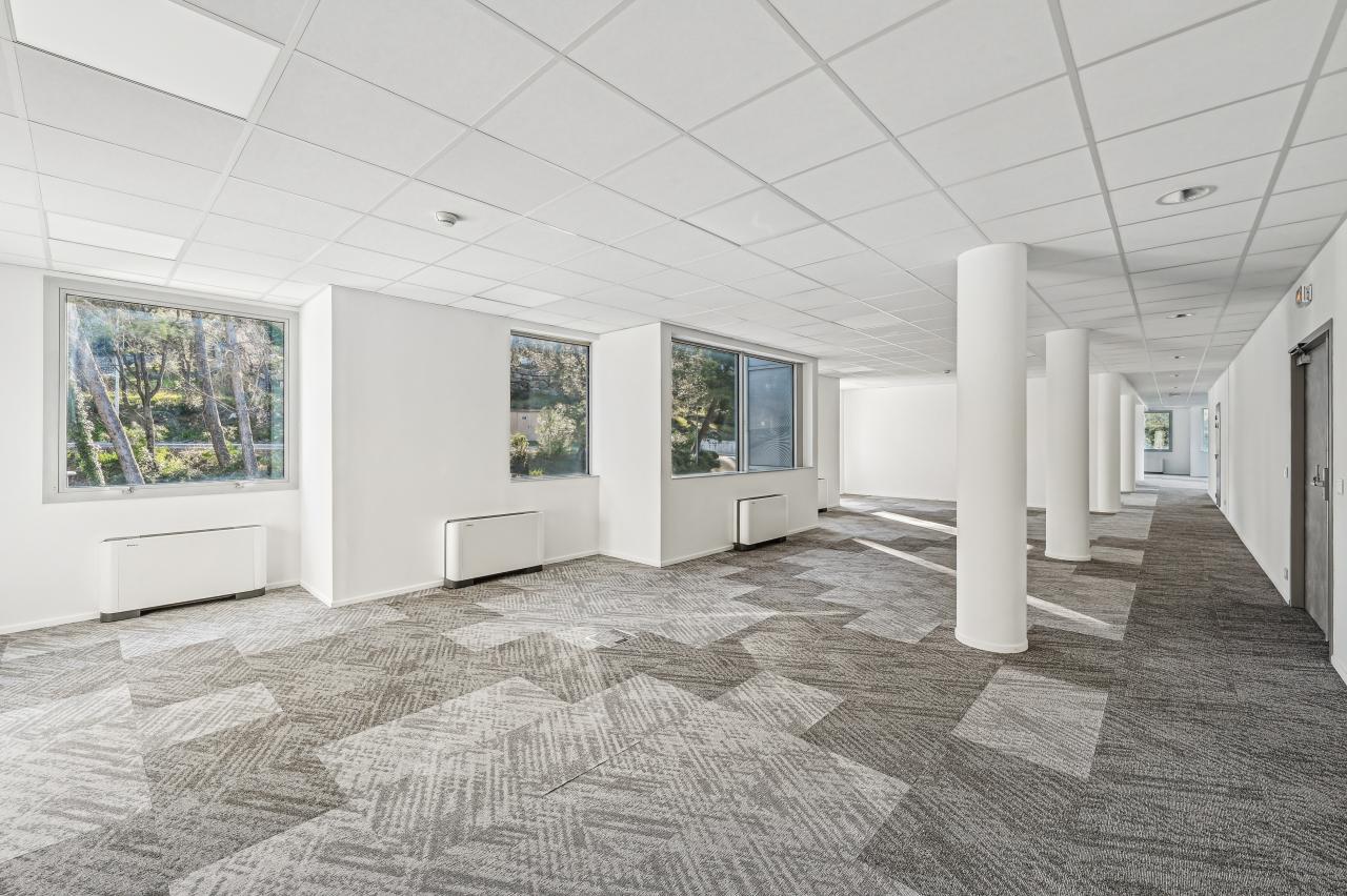 Location bureau Biot Alpes-Maritimes OLBUR2115387 8