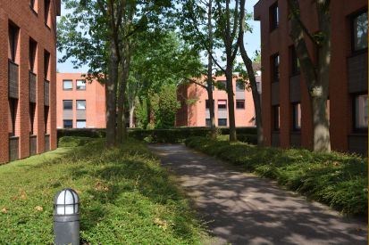 Location bureau Montigny-le-Bretonneux Yvelines OLBUR2203977 7