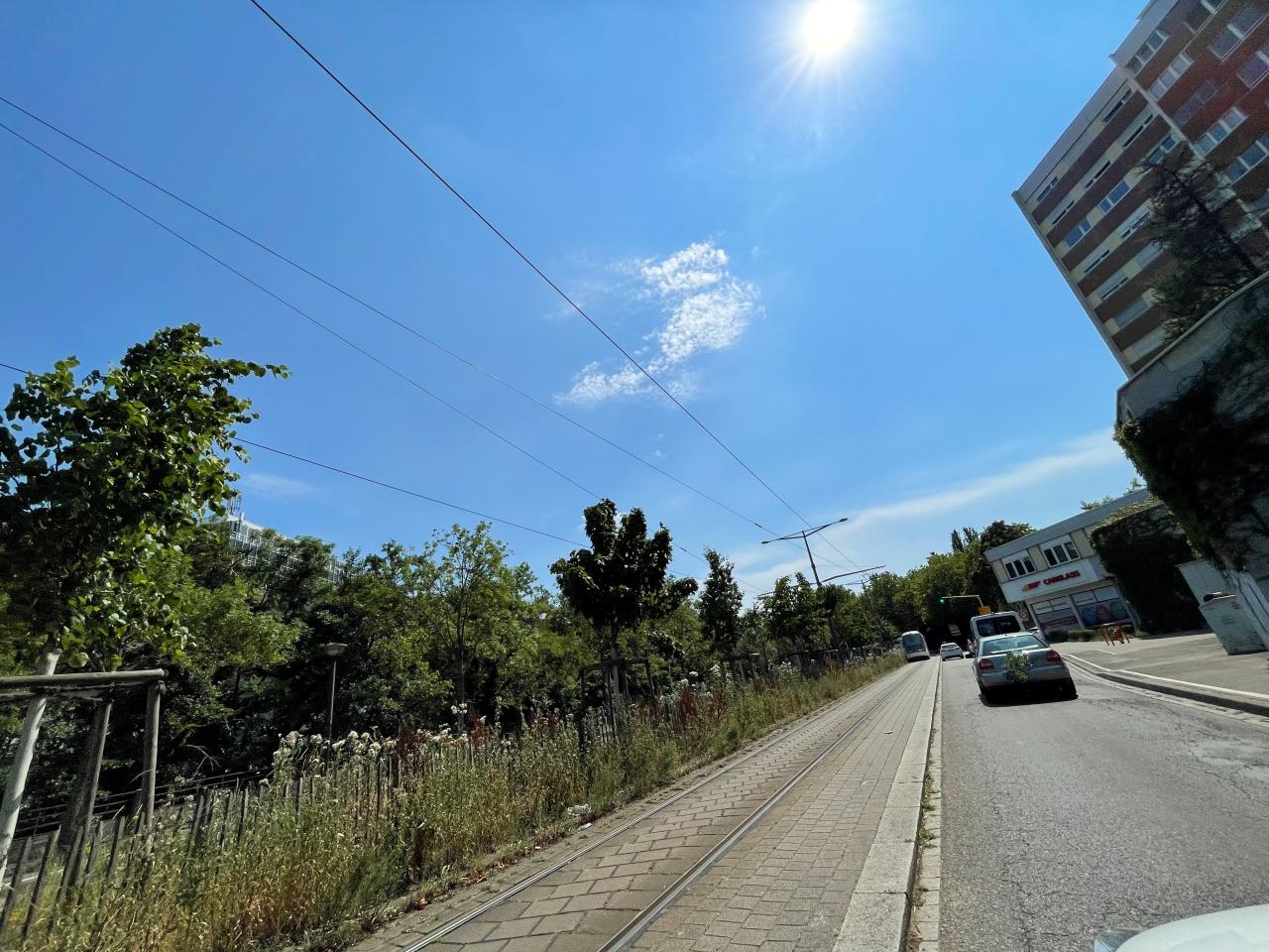 Vente bureau Schiltigheim Bas-Rhin OVBUR2533732 30