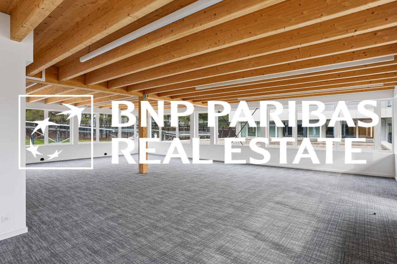 Location bureau OLBUR2313993 8