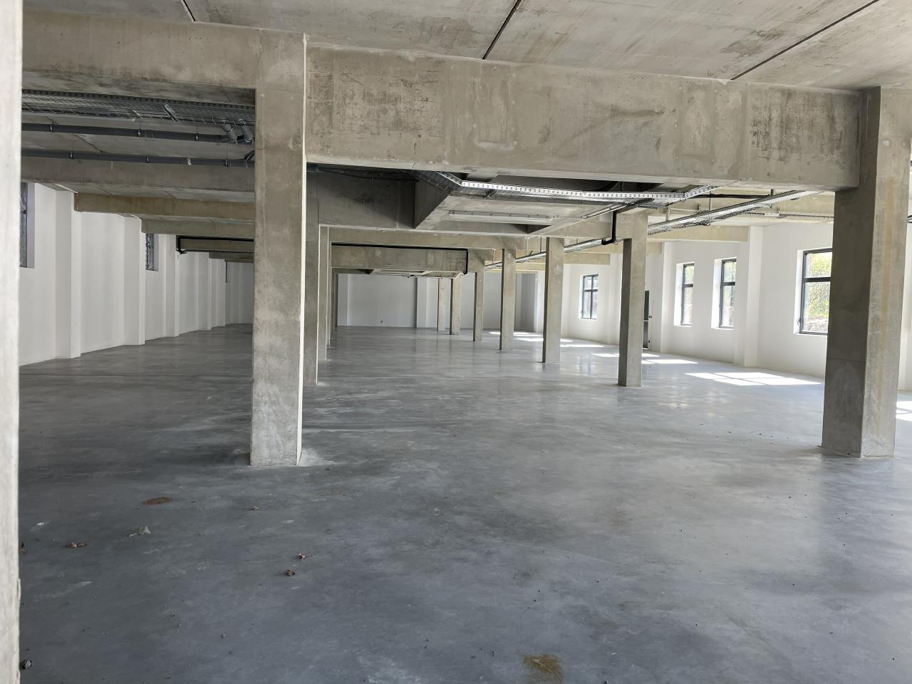 Location local d'activité Dardilly Rhône OLACT2207215 14