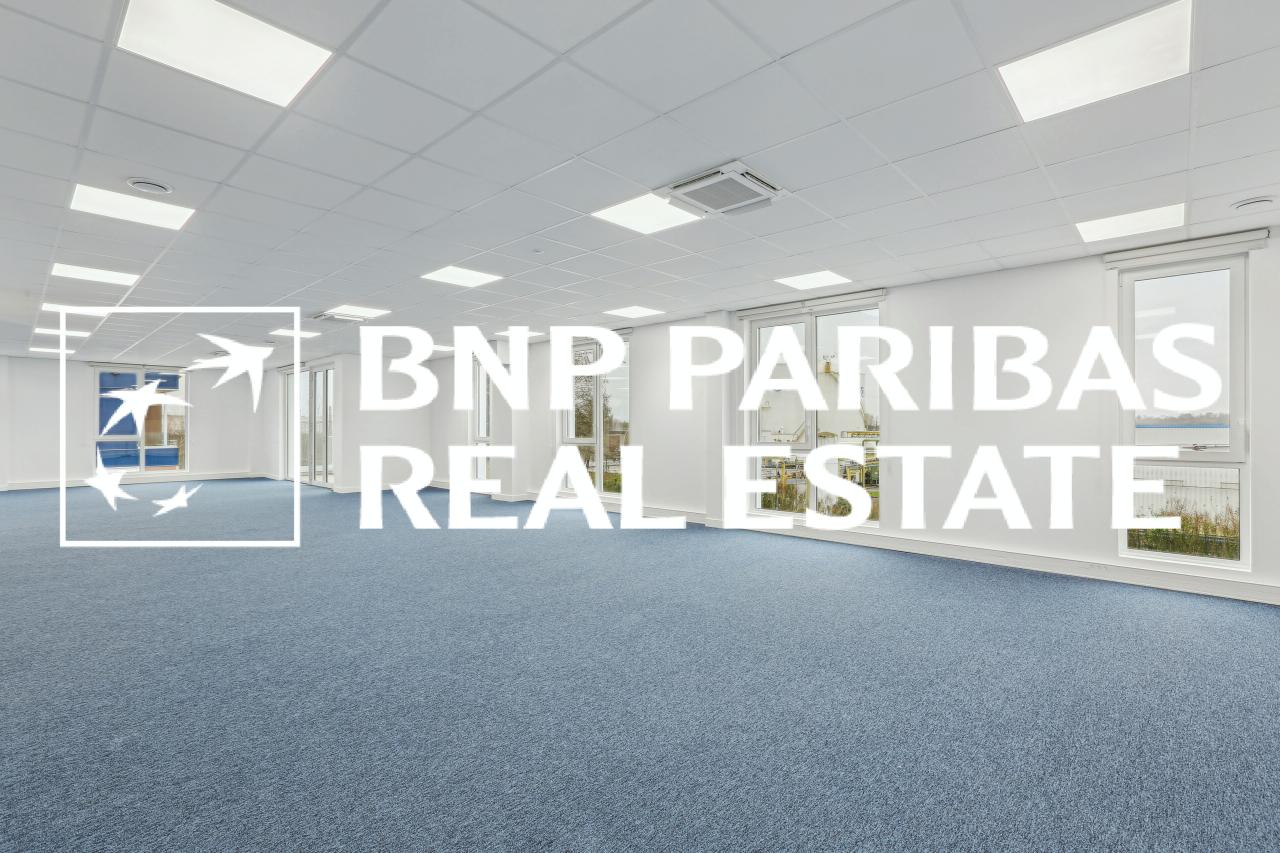 Location local d'activité Moissy-Cramayel Seine-et-Marne OLACT2201100 12