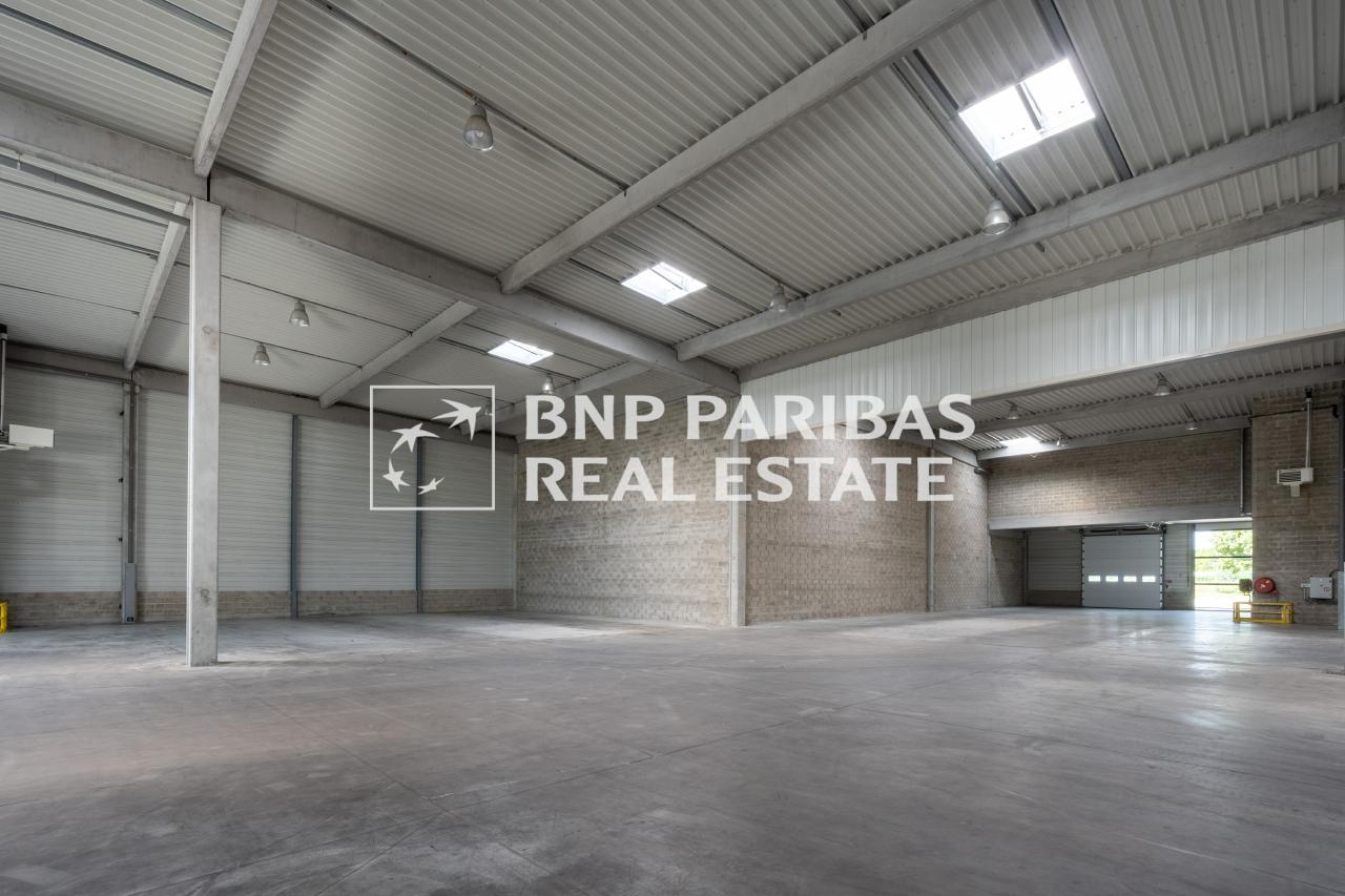 Location local d'activité Élancourt Yvelines OLACT2318123 3