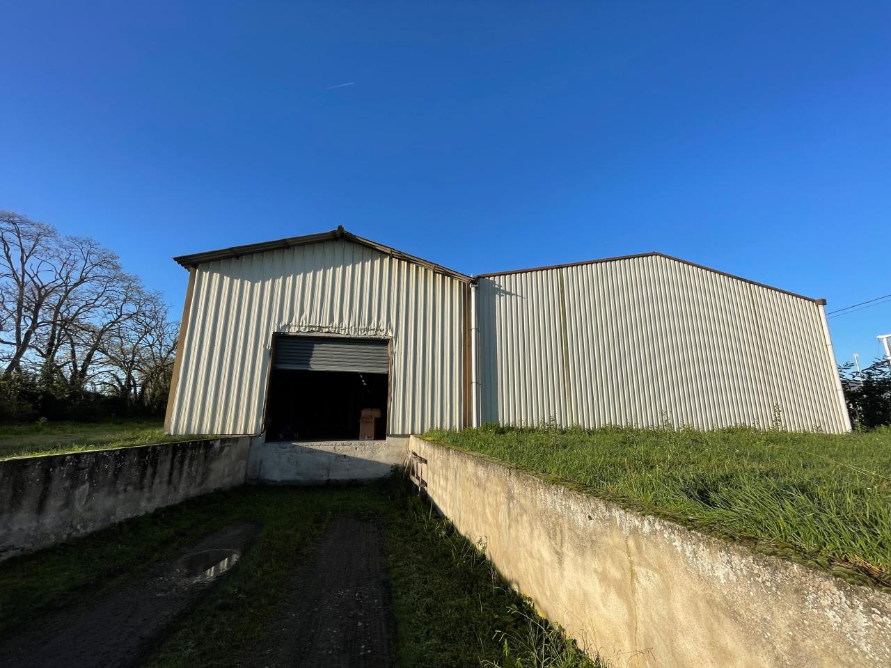 Vente local d'activité Saint-Jory Haute-Garonne OVACT2428242 3