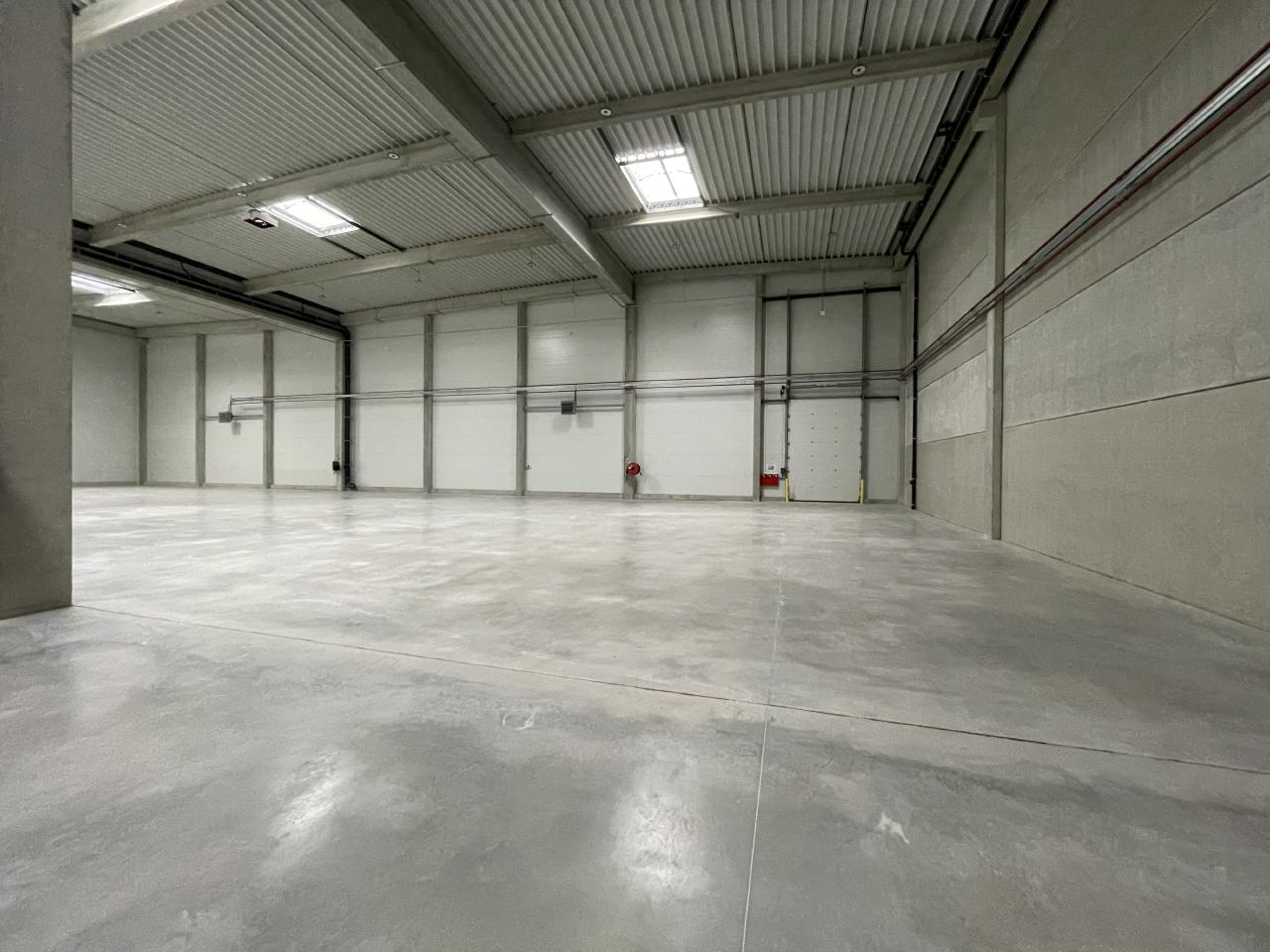 Vente entrepôt classe b Monswiller Bas-Rhin OVLOG2534847 10