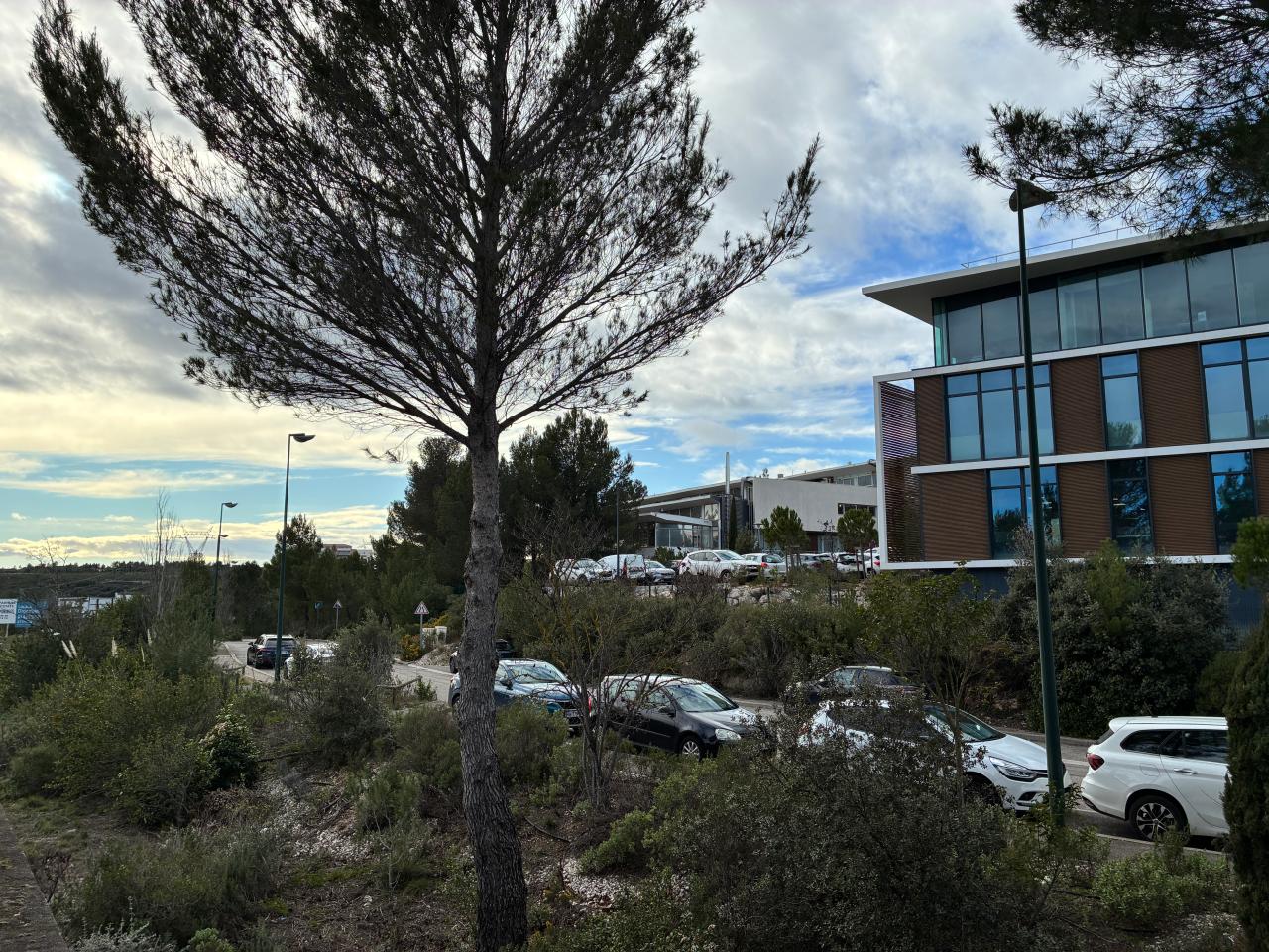 Location bureau Aix-en-Provence Bouches-du-Rhône OLBUR2114976 7