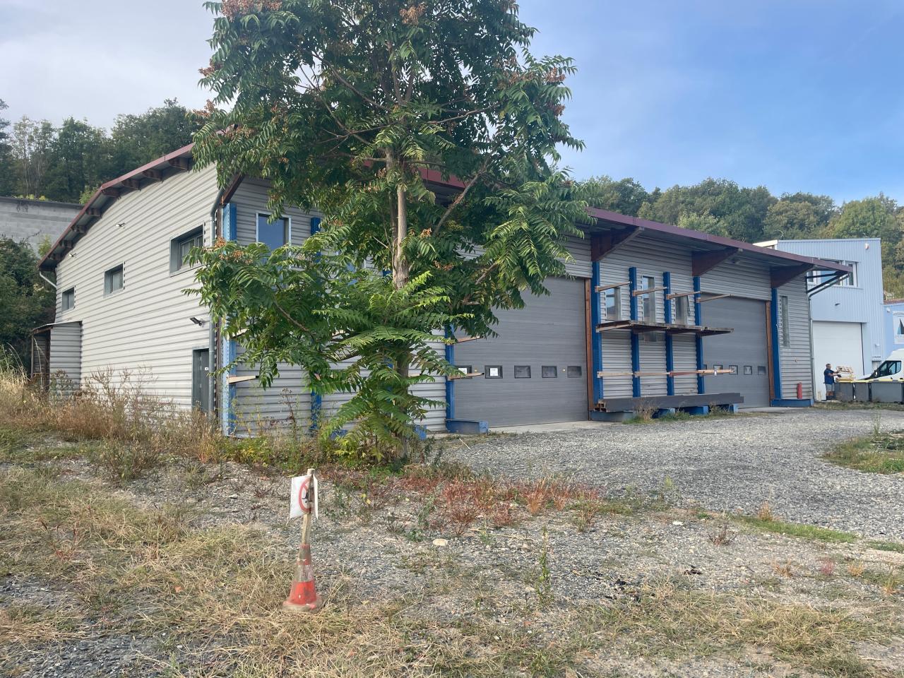Vente local d'activité Thurins Rhône OVACT2537801 6