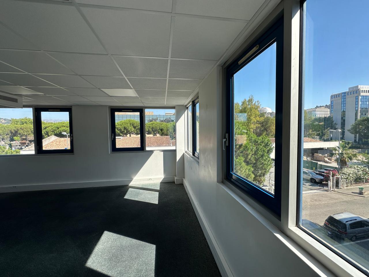 Location bureau Nice Alpes-Maritimes OLBUR2424249 13