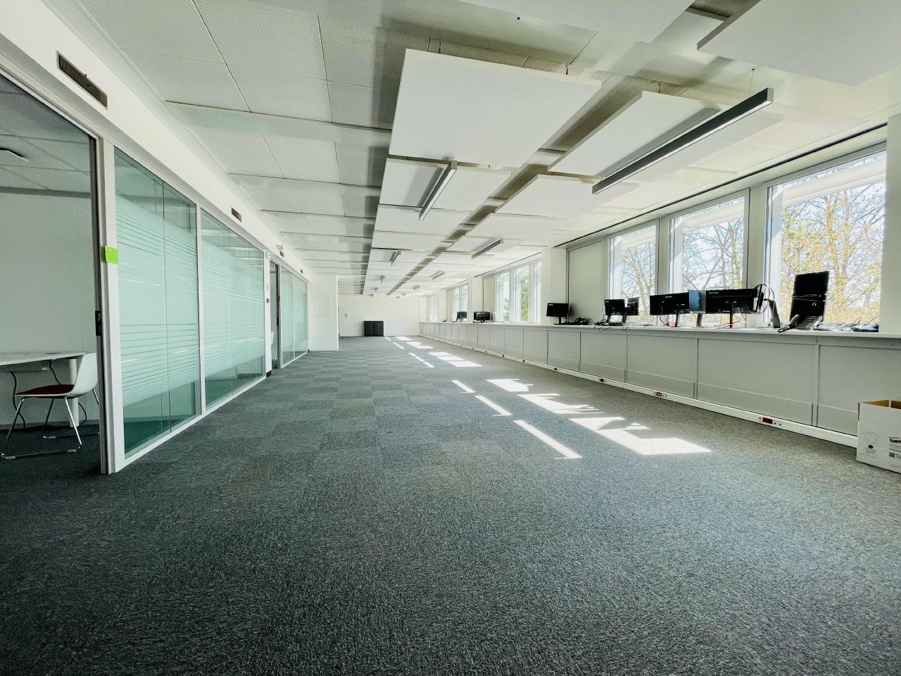 Location bureau Strasbourg Bas-Rhin OLBUR2310518 5